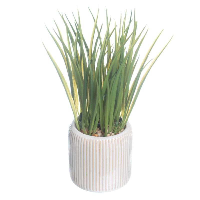 Shop all  Ty Pennington




Grass Bundle in Ceramic Pot, 22"








	
		
		
			
				5
			
			
	... | At Home