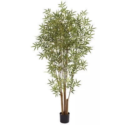 Nearly Natural 6' Japanese Bamboo Tree | Belk