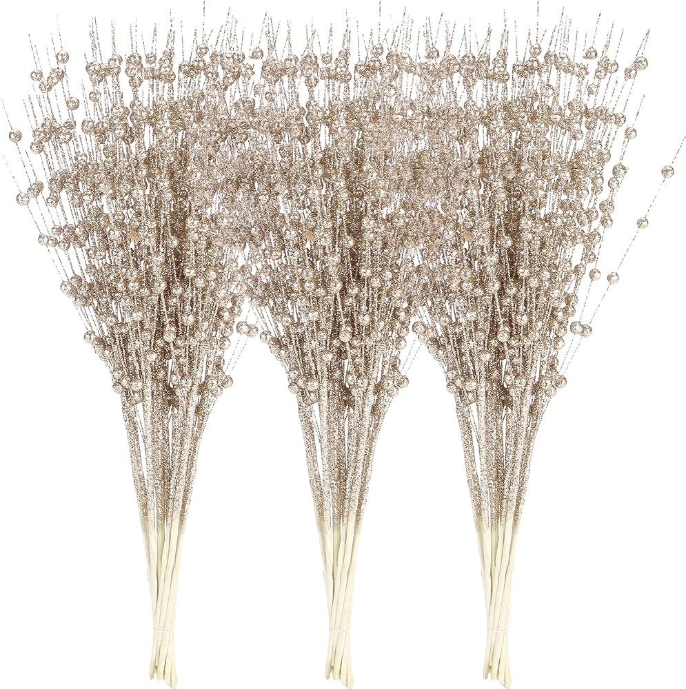 Champagne | Amazon (US)