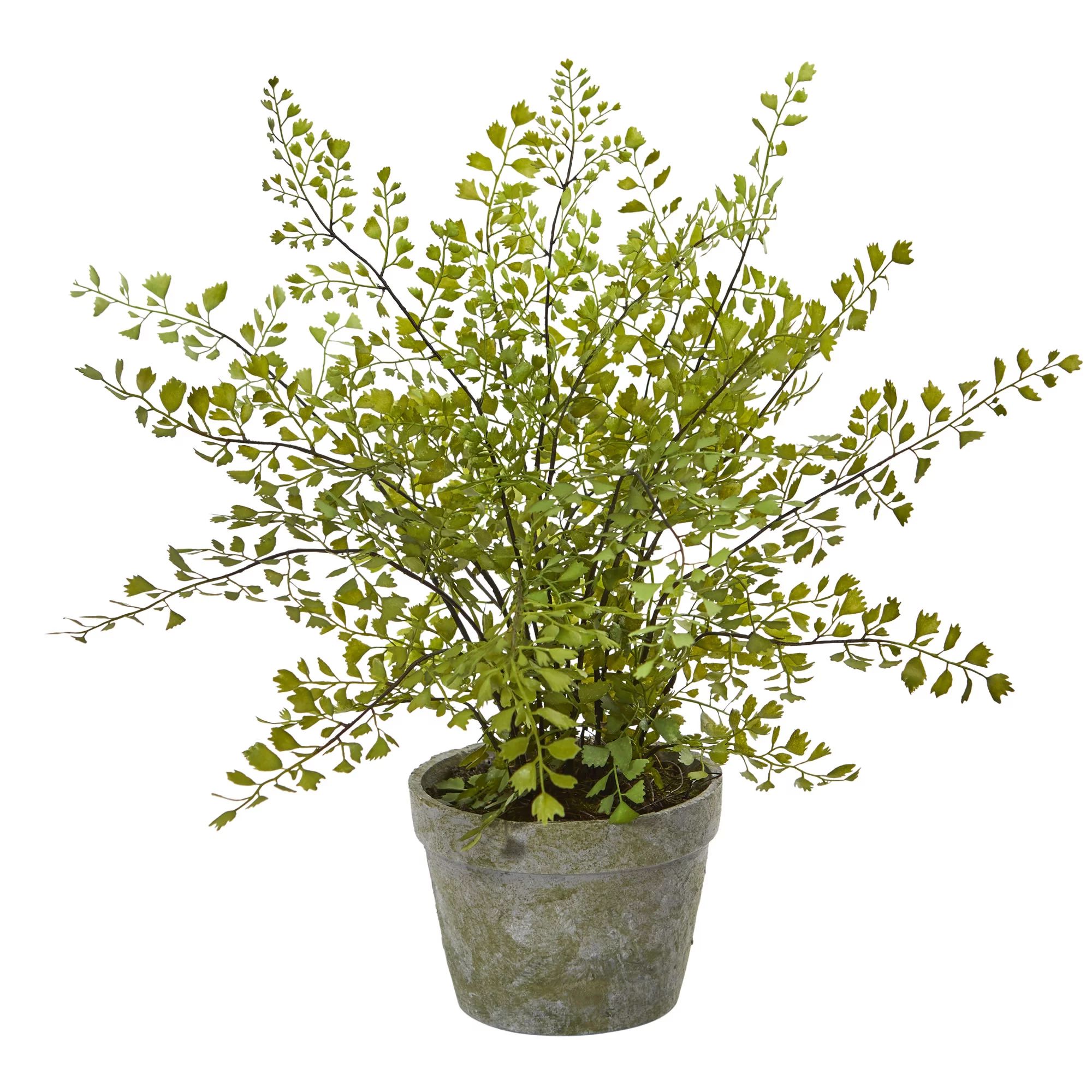 Nearly Natural 13" Green Maiden Hair Plastic Artificial Plant in Decorative Planter | Walmart (US)