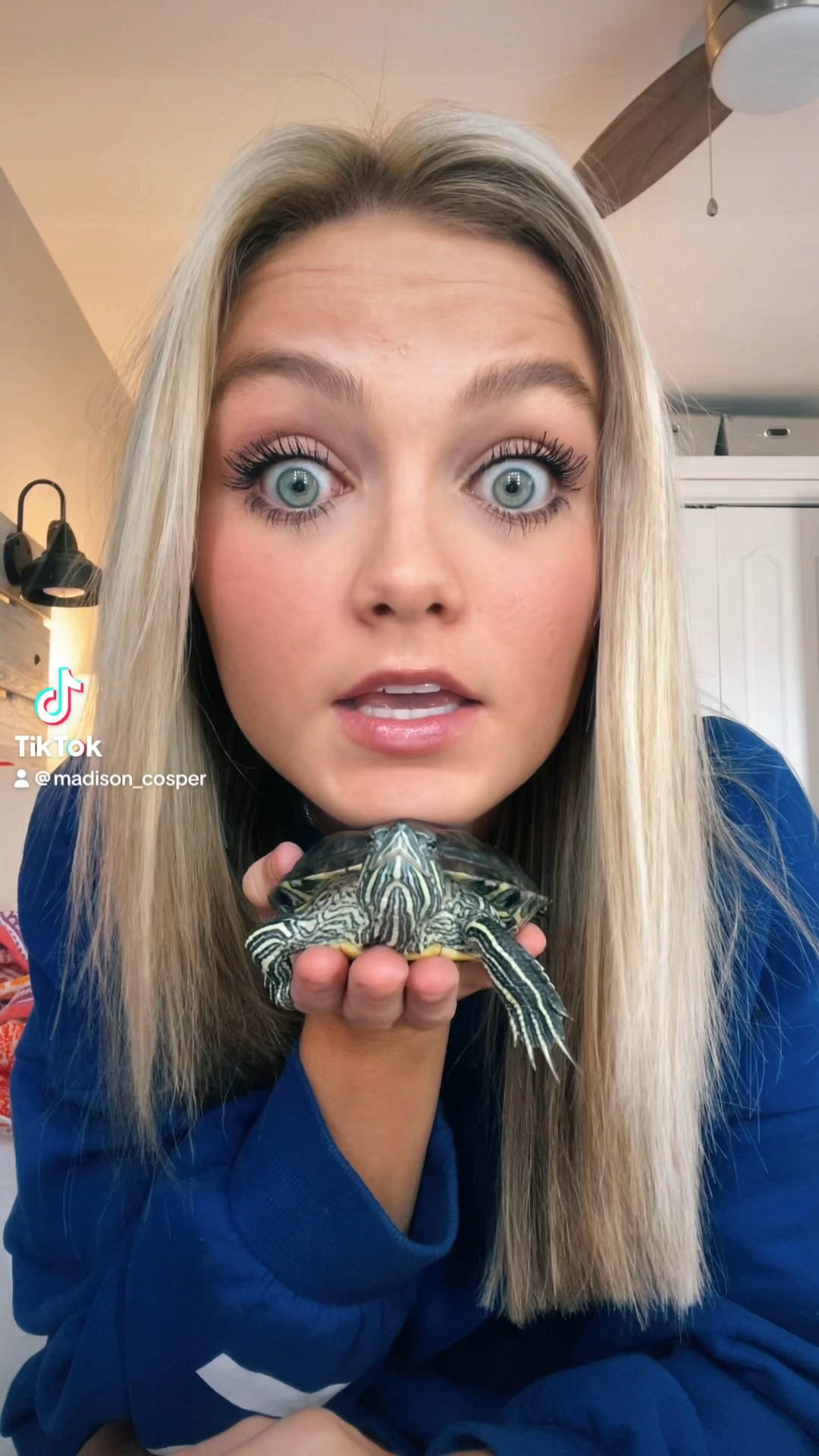 GRWM

#LTKBeauty #LTKStyleTip #LTKVideo