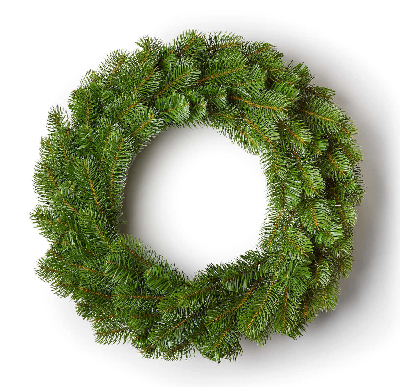 24" King Douglas Fir Artificial Christmas Wreath Unlit | King of Christmas