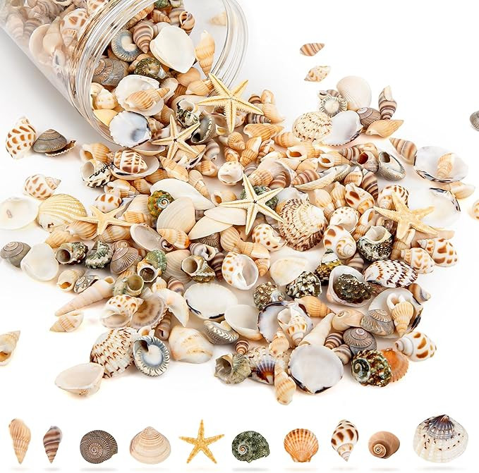 Tiny Sea Shells & 6 Starfish Decor Mixed Ocean Beach Spiral Seashells for Home Decor, Wedding,Dec... | Amazon (US)