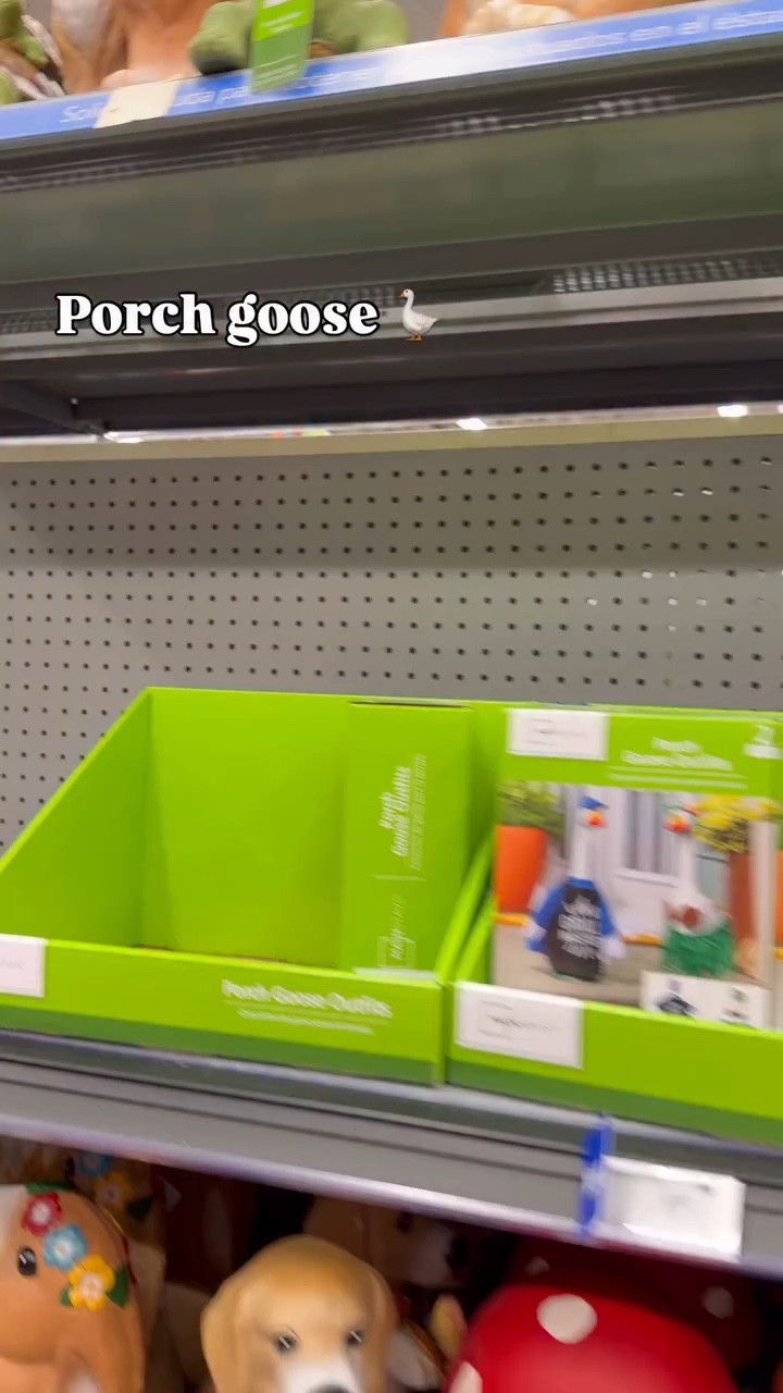 Comment GOOSE below to receive a DM with the link to this post on my LTK ⬇ https://liketk.it/5VIpp #ltkdayinmylife #ltkgrwm #ltkootd

Walmarts porch goose + outfits

#Porchgoose #walmarthome