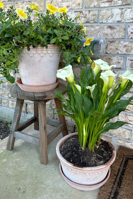 The cutest planter pots that were made near Tuscany from Purple Rose Home! 

#LTKhome