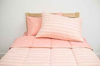 Beddy's Pink Ballerina Girls Durable Zipper Bedding, Bed in a Bag, Pink Ballet Sheets and Comfort... | Amazon (US)