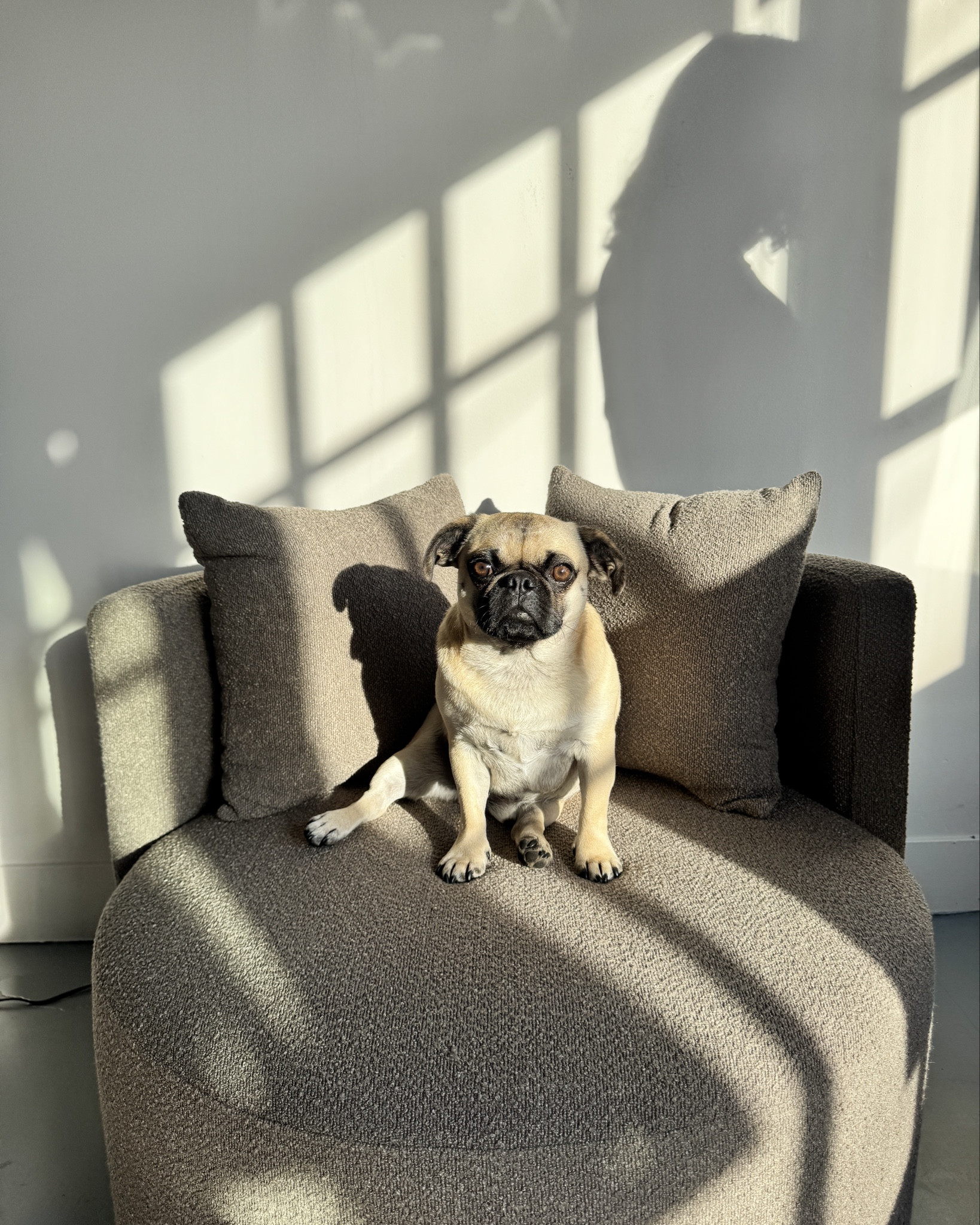 Chair, rug, and full length mirror from TikTokk

#LTKStyleTip #LTKHome