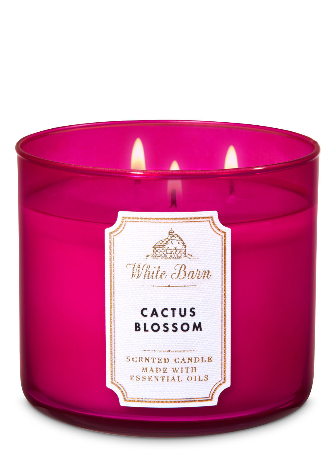 Cactus Blossom 3-Wick Candle | Bath & Body Works