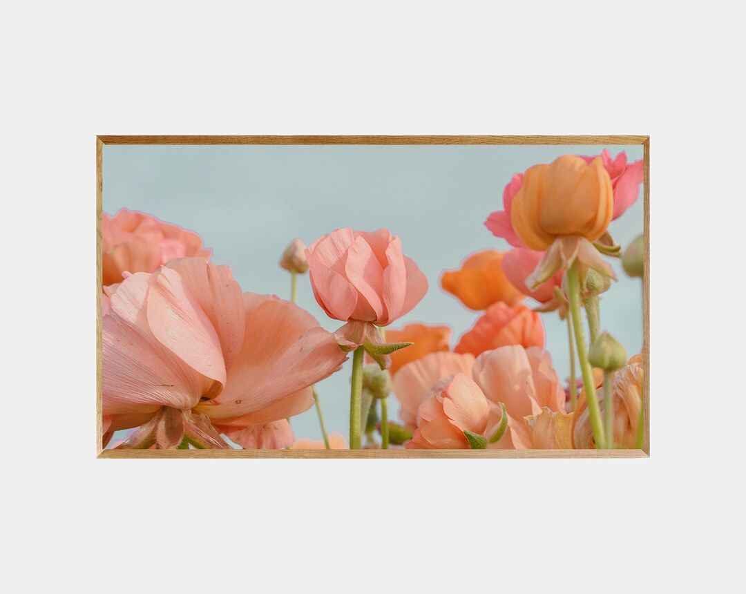 Samsung Frame TV Art Pastel Pink Flowers Minimal Modern Art Digital Download - Etsy | Etsy (US)