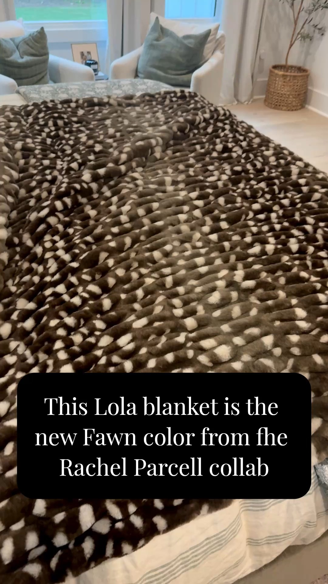 This Lola blanket is the “woodland fawn” color from the Lola x Rachel Parcell collab ✨ It’s so large and insanely soft!!!

#LTKselfcare #LTKstorytime #LTKHome