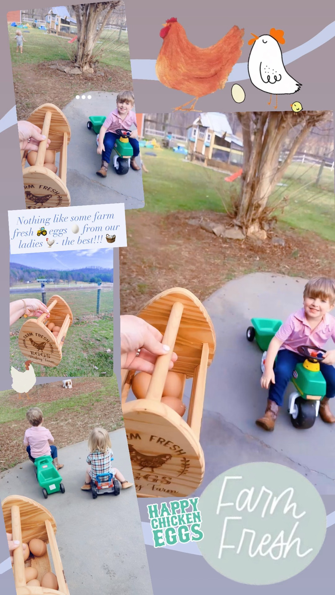 Nothing like some farm fresh 🚜 eggs 🥚 from our ladies 🐓- the best!!! 🧺 