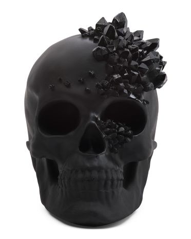 Skull With Crystals | TJ Maxx