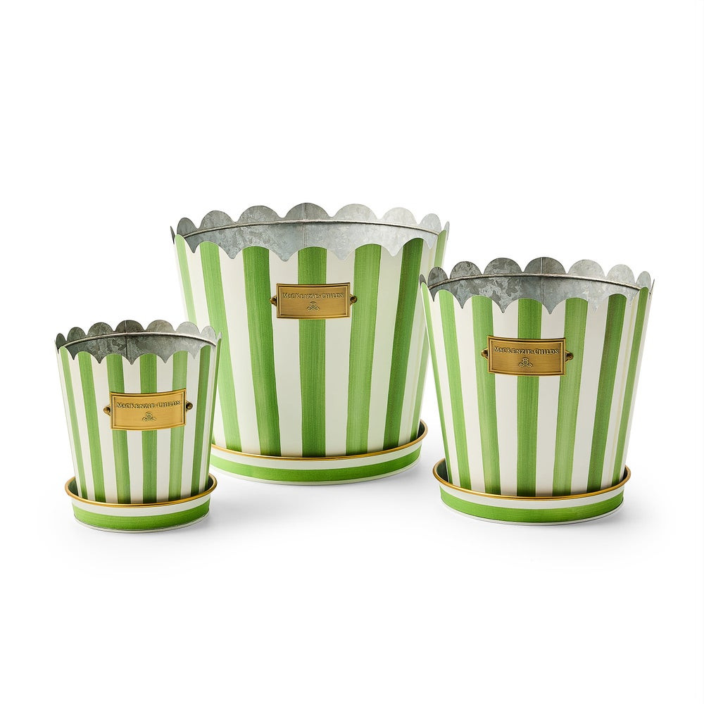 Courtly Stripe Pots & Saucers, Set of 3 | MacKenzie-Childs
