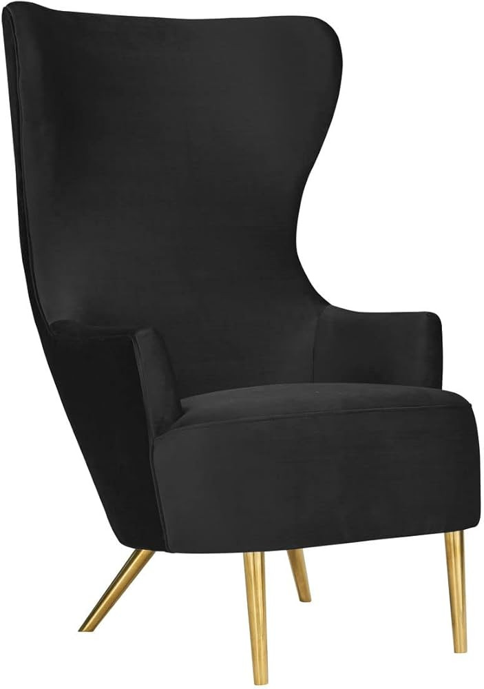 TOV Furniture Julia 19.7" Modern Velvet and Pine Wingback Chair in Black | Amazon (US)