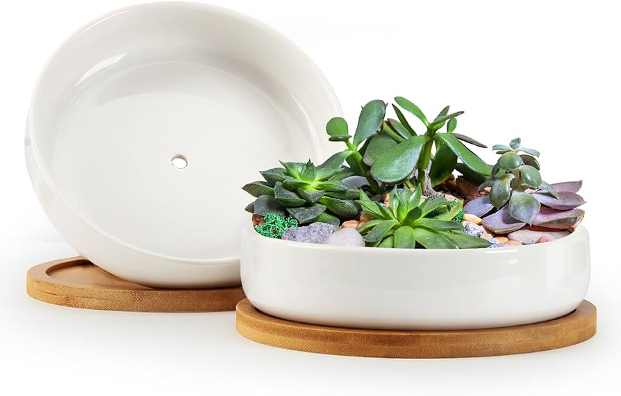 ZOUTOG Succulent Pots,6 Inch Succulent Planters with Drainage and Tray,White Ceramic Planters for... | Amazon (US)