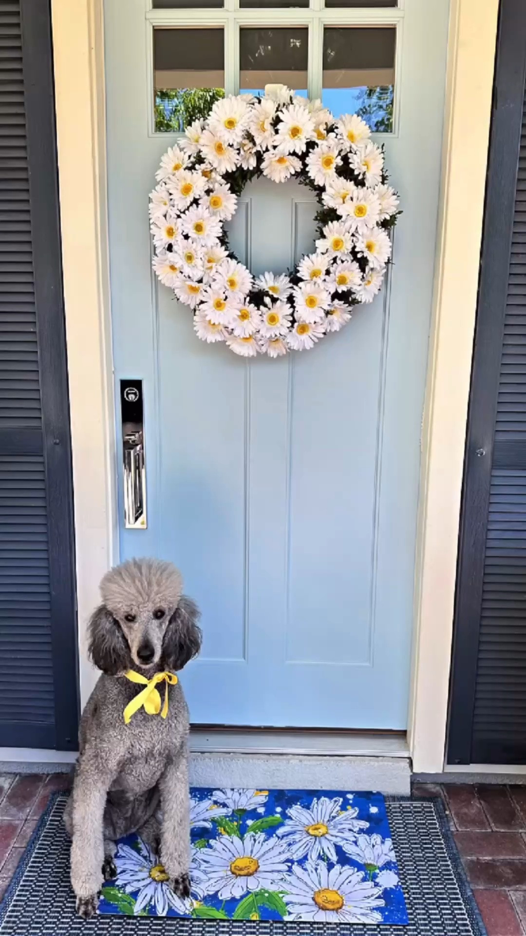 I think daisies are such a happy flower. I decided this year I wanted to have a simple daisy wreath hanging on my front door for summertime.  Get yourself a faux boxwood wreath and some artificial daisy flowers!  Use the stems to tuck them into your wreath and you have a beautiful wreath to display all summer long!  
The best part is that these daisies can all be removed and the boxwood wreath can be used again with nothing on it or decorated with other flowers or ribbons.

#LTKSeasonal #LTKHome