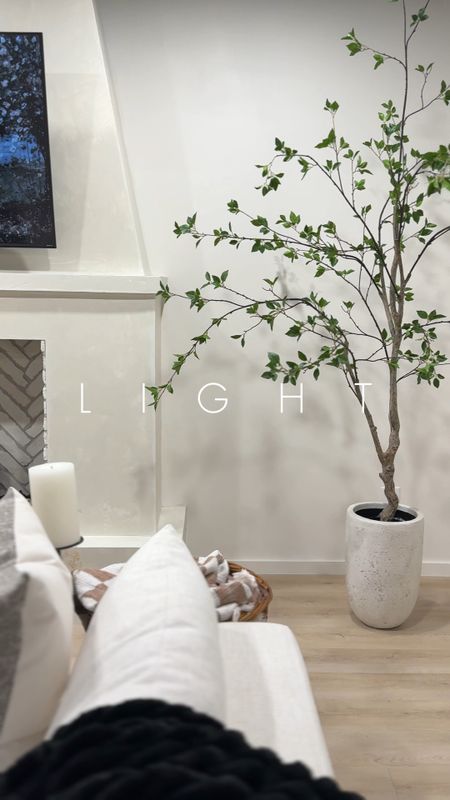 The perfect faux tree for any home the Minimalist Citrus Tree from Nearly Natural. It pairs very well with these two planters from Lowe’s!

#LTKstyletip #LTKhome #LTKVideo