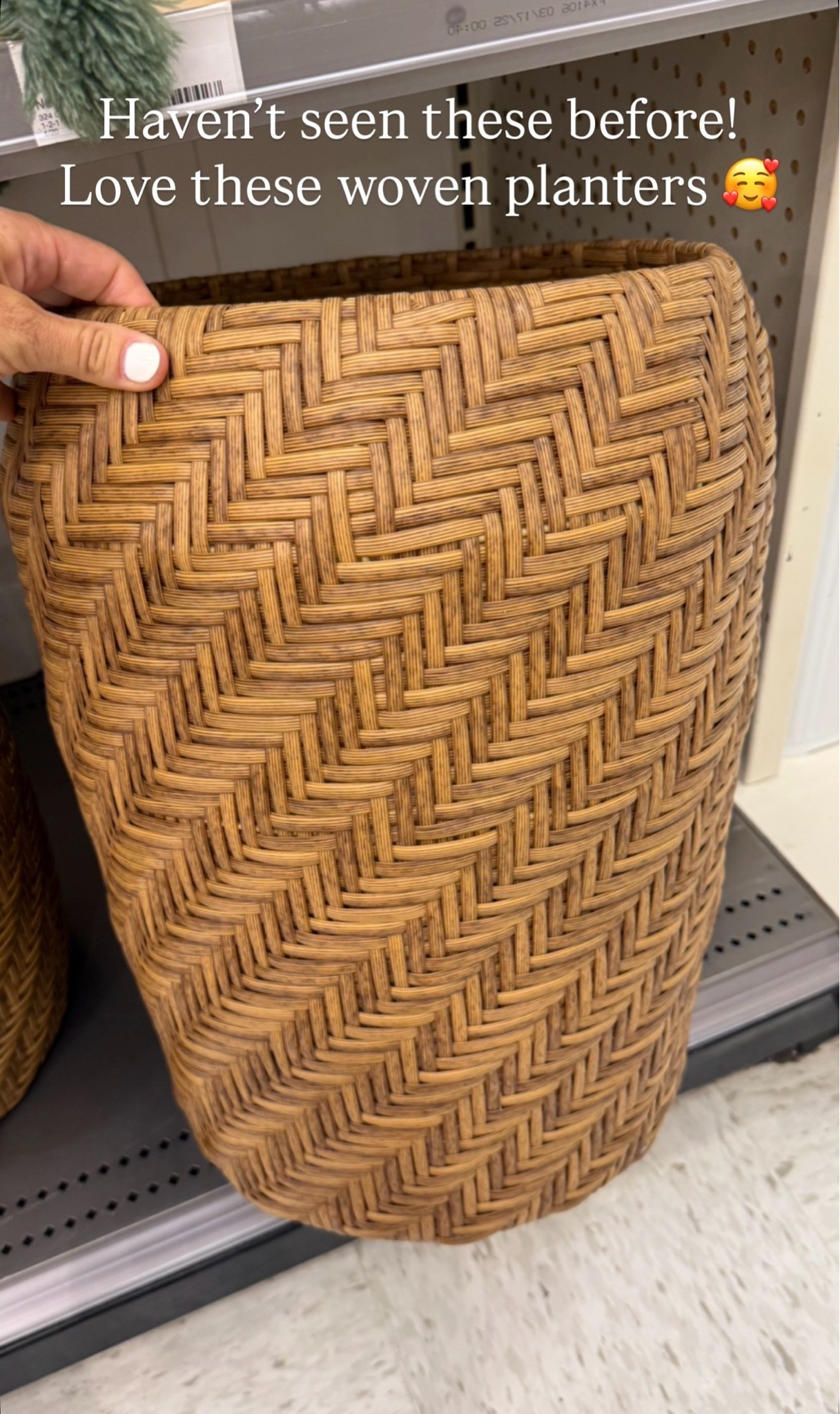Woven planter

#LTKdayinmylife #LTKHome #LTKSeasonal