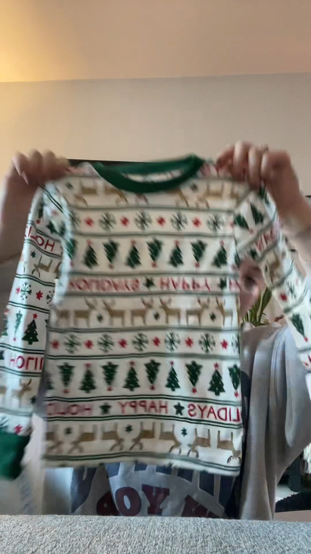 Christmas decor and clothing haull

#LTKGiftGuide #LTKHoliday #LTKSeasonal