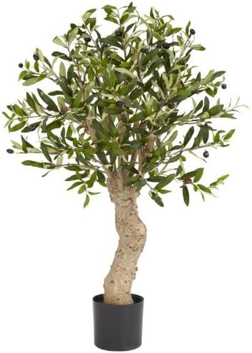 Nearly Natural 5331 Olive Silk Tree, 2.5-Feet, Green,2 1/2 ft. | Amazon (US)