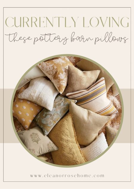 Currently loving these new pillows from Pottery Barn!

#LTKFind #LTKhome #LTKSeasonal