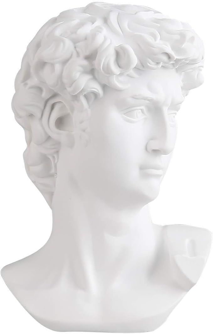 Waldosia 6 Inch Michelangelo's David Bust Statue | Amazon (US)