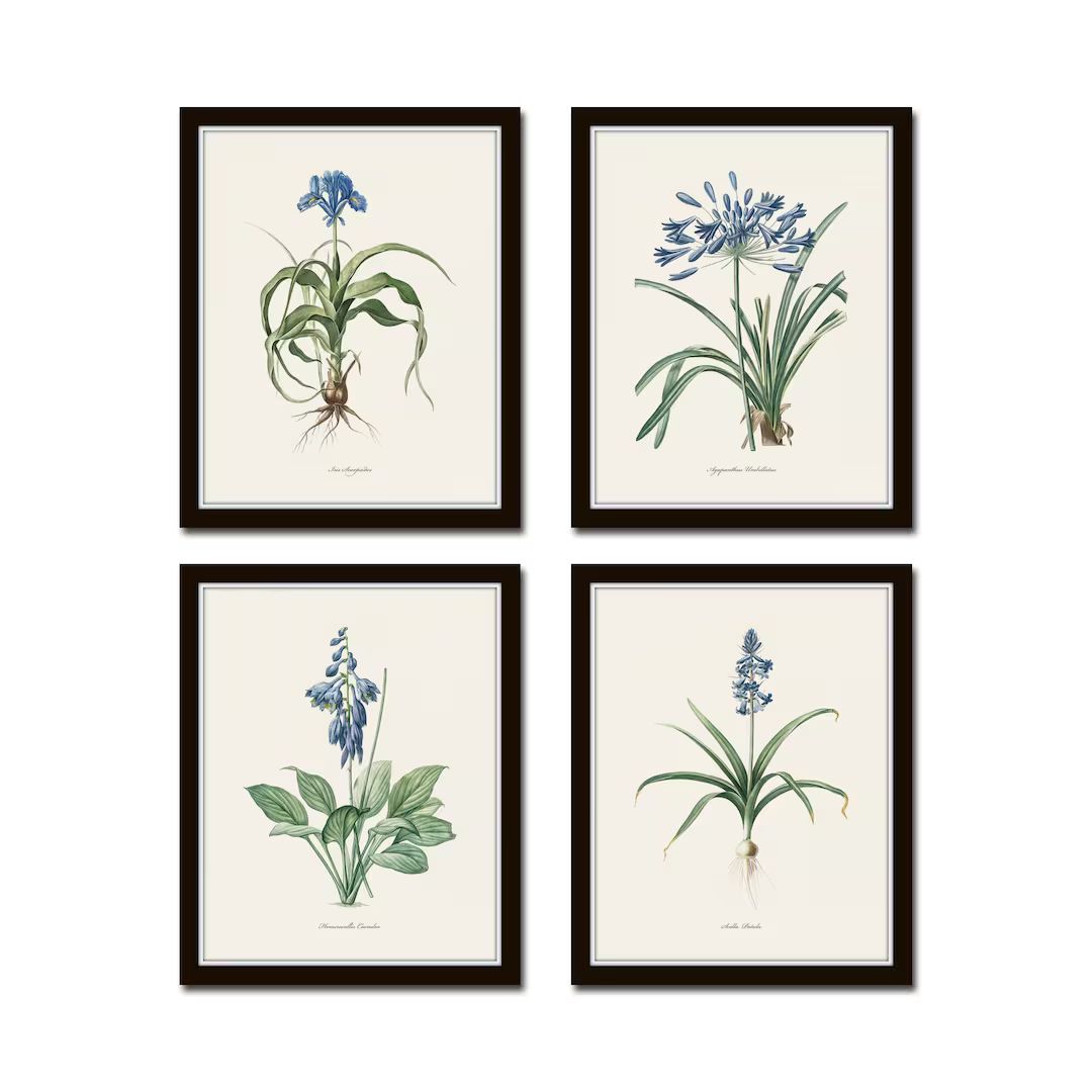 Blue Botanical Print Set No. 27 Redoute Botanical Prints - Etsy | Etsy (US)
