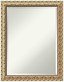 Amanti Art Wood Wall Mirror (27.38 x 21.38 in.), Florentine Gold Frame - Bathroom Mirror, Vanity Mir | Amazon (US)