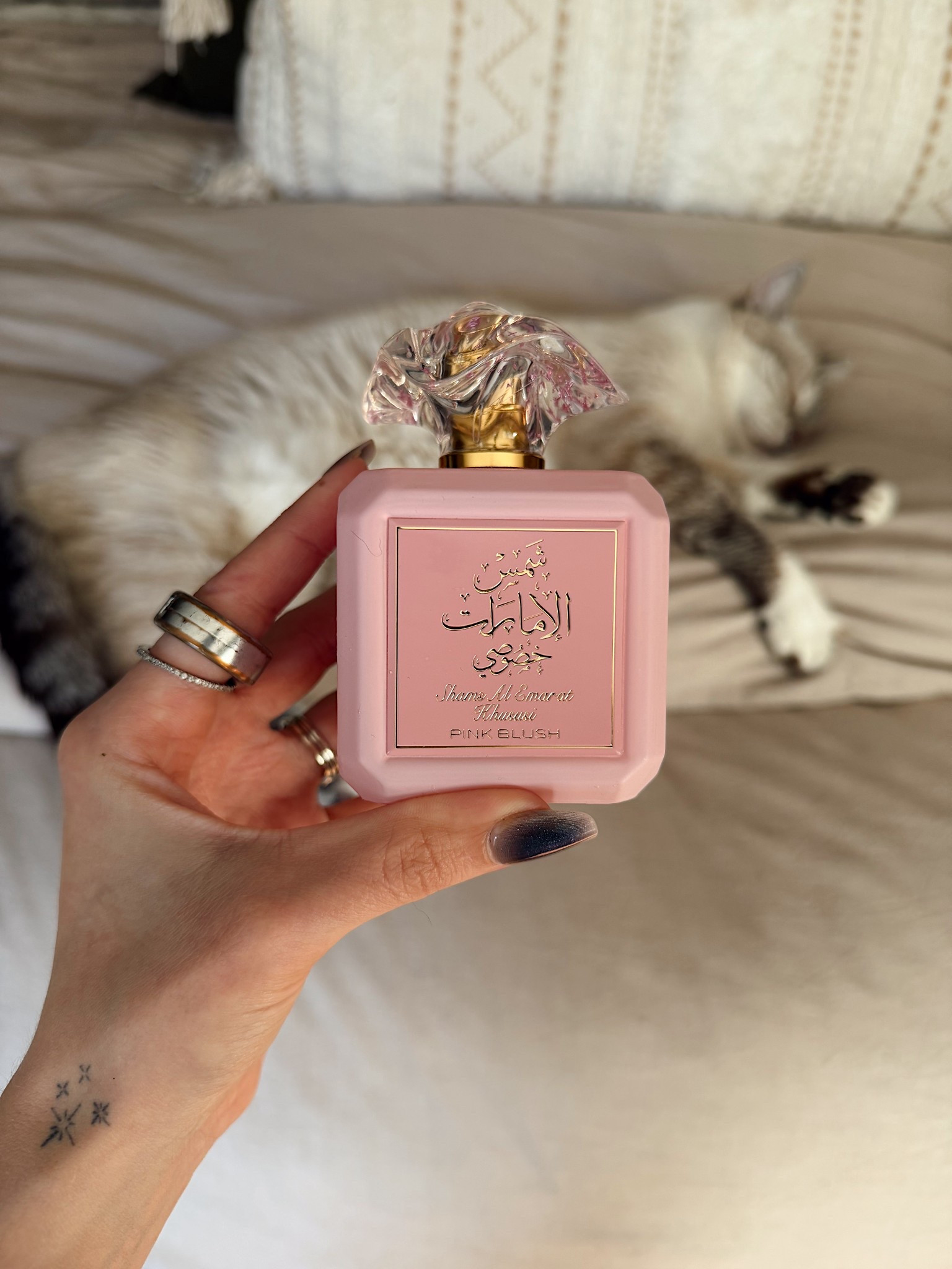 Realized I never posted this gorgeous perfume I snagged on Amazon Prime Day! It’s perfect for the gourmand lover with a hint of floral and fruit. It’s playful but smooth and cozy! The projection and longevity is amazing on this and had a lady behind the counter ask me what I was wearing 🌸

Top Notes: Raspberry, Nectarine, Apple
Middle Notes: Marshmallow, Strawberry, Coconut, Orange Blossom
Base Notes: Cream, Sugar, Vanilla

#LTKFindsUnder50 #LTKBeauty #LTKSeasonal