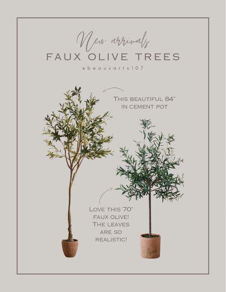 Beautiful new realistic olive trees! 

#LTKstyletip #LTKsalealert #LTKhome