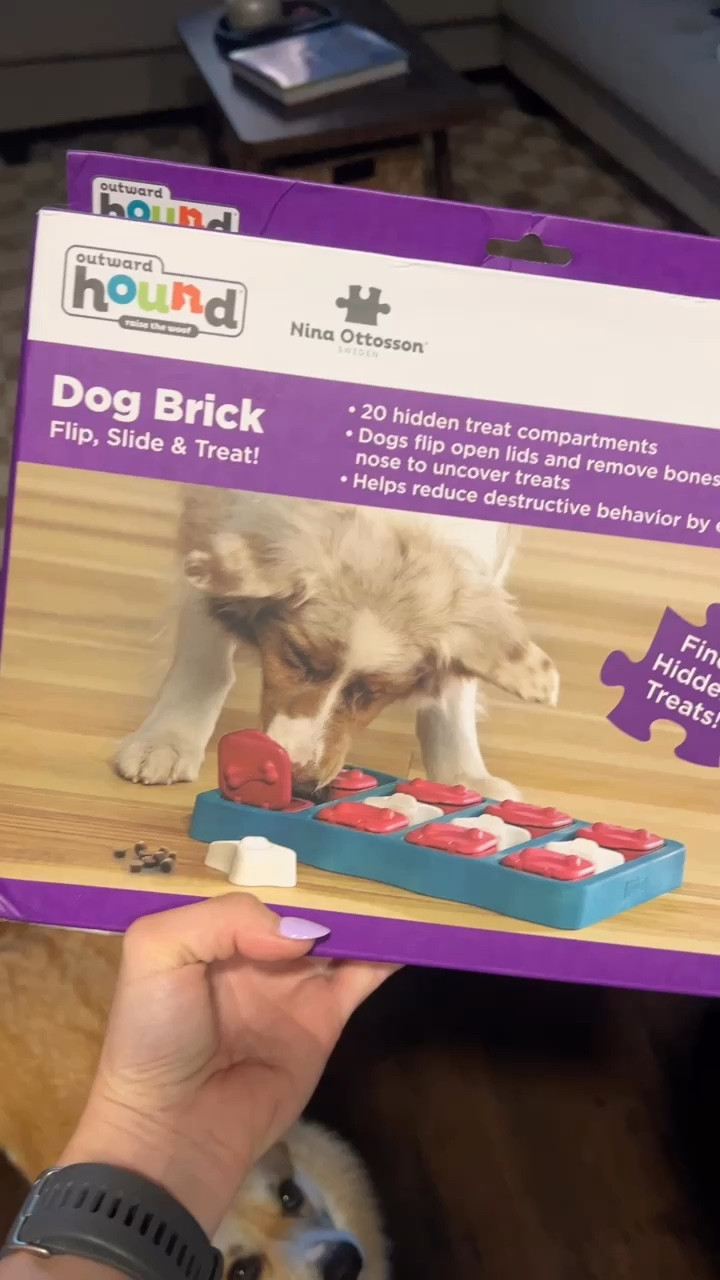 Love the puzzle toys from Outward Hound! Perfect for those hot summer days. You can find them at your local pet store or online! 

#LTKHome #LTKFindsUnder50 #LTKGiftGuide