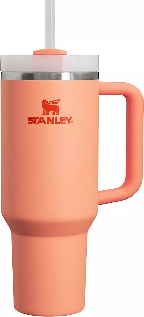 Stanley 40 oz. Quencher H2.0 FlowState Tumbler | Dick's Sporting Goods