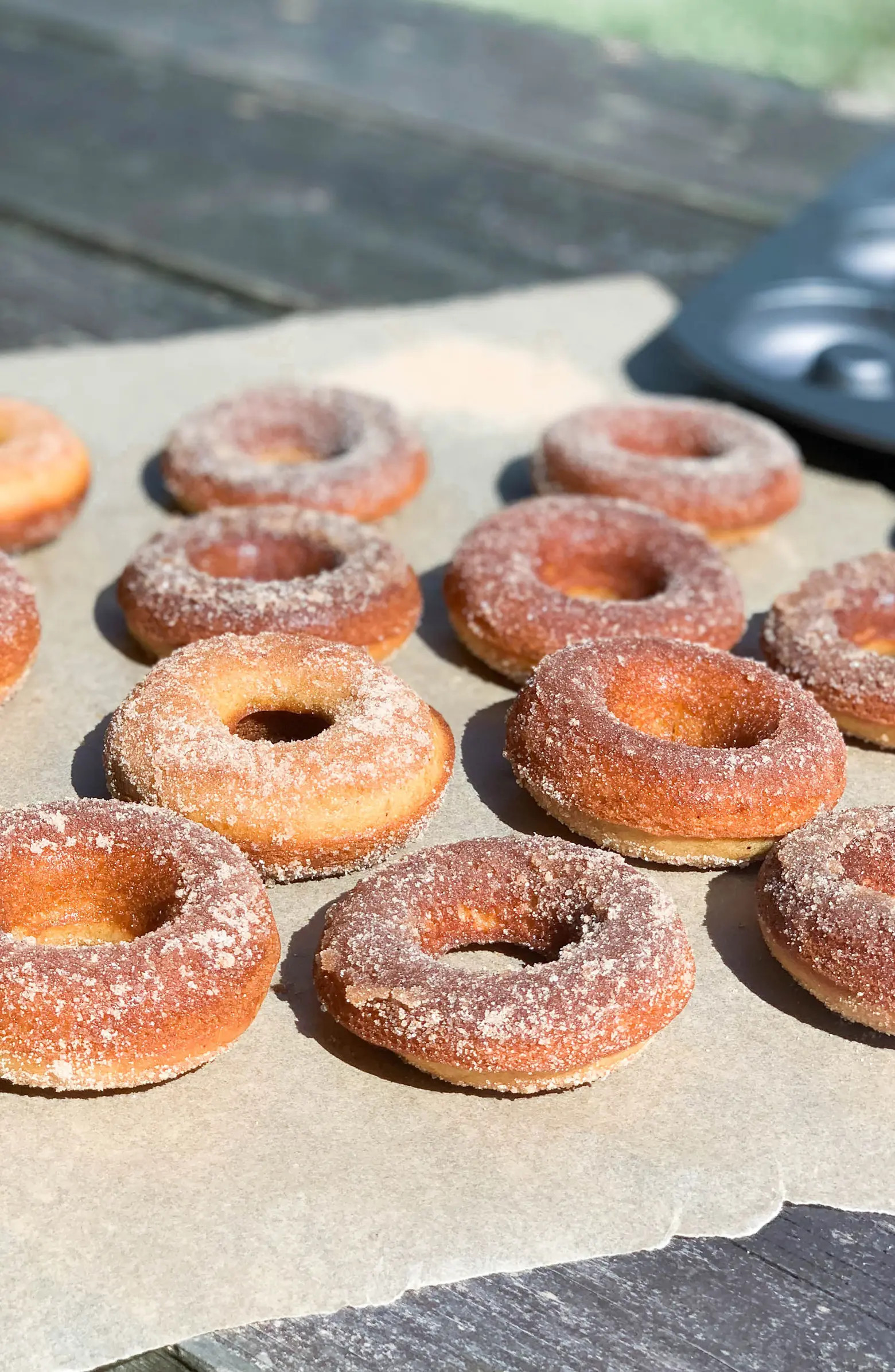 Brooklyn Brew Shop Apple Cider Doughnut Making Kit | Nordstrom | Nordstrom
