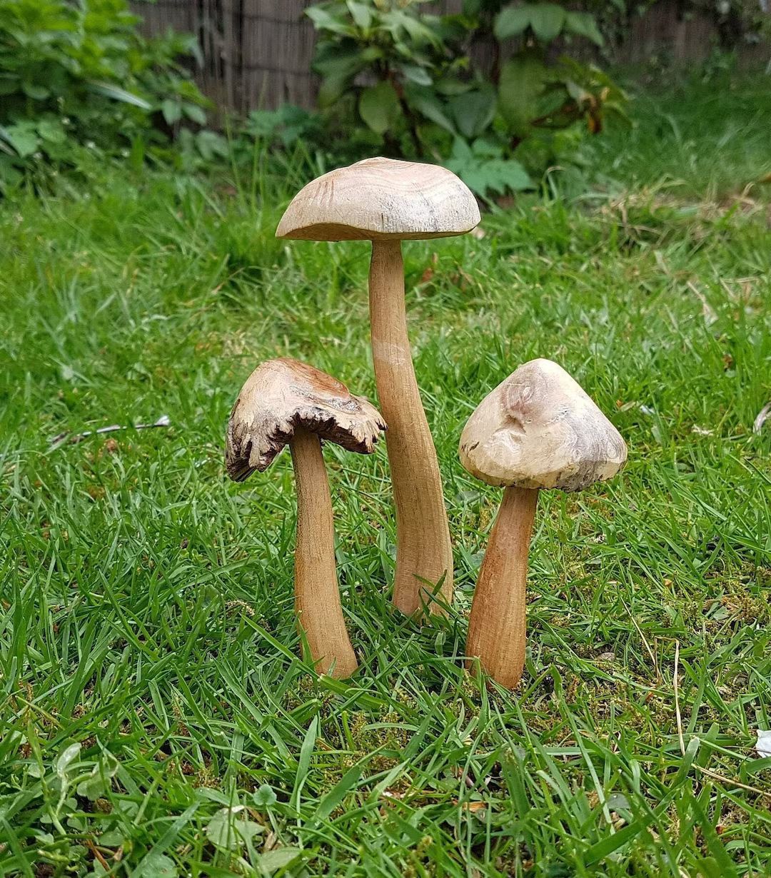 Wooden Fairy Garden Mushroom Set - Etsy | Etsy (US)