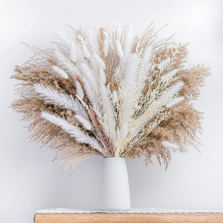 Sanmadrola 80 Pcs Natural Dried Pampas Grass Boho Home Decor Dried Reed Flowers for Wedding Flora... | Walmart (US)