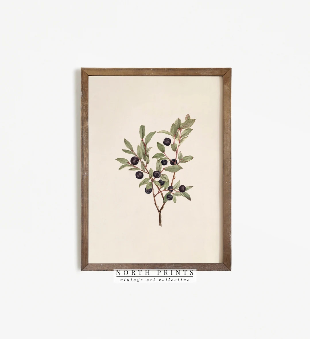 Vintage Botanical Print | Antique Berry Country Farmhouse Watercolor | Digital PRINTABLE #267 | Etsy (US)