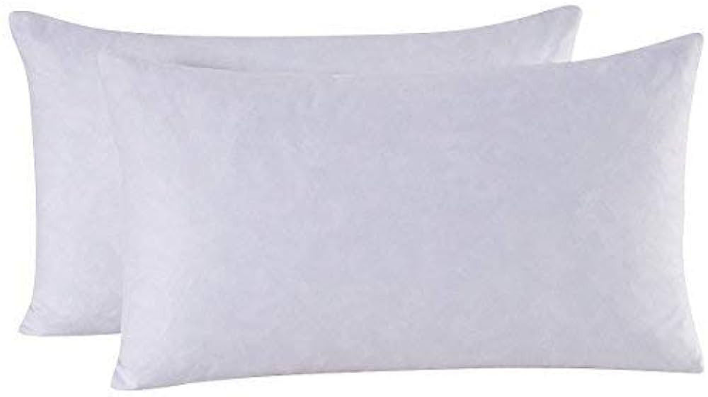 HOMESJUN Set of 2, 95% Feather 5% Down Decorative Throw Pillow Insert, Cotton Cover, 12x20 Inch | Amazon (US)