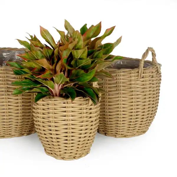 DTY Signature 3-Pack Wicker Multi-purposes Basket with handle - Planter basket - Tan | Bed Bath & Beyond