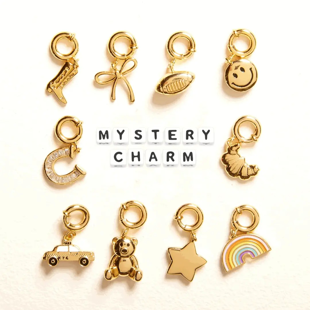 One Mystery Charm | Little Words Project
