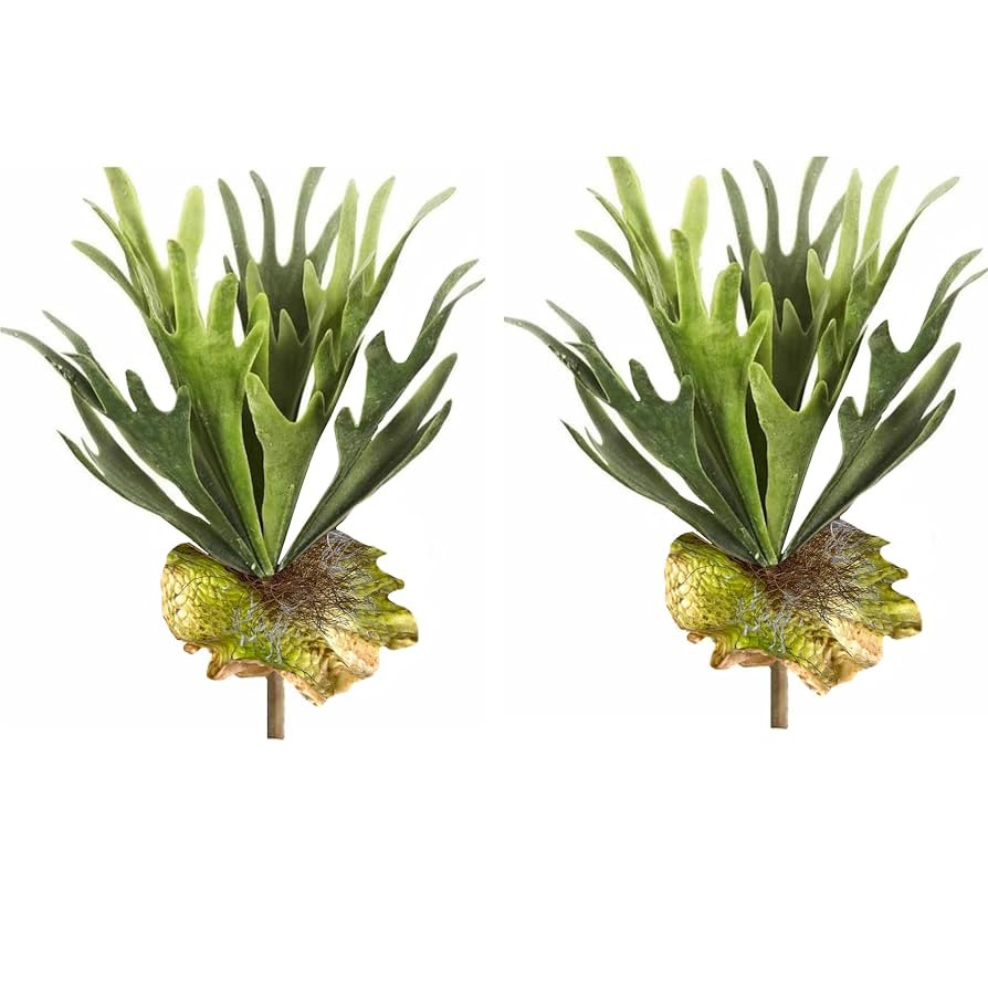 Angel Isabella USA-Set of 2 Premium Quality 13inch Faux Staghorn Fern Bush Frosted Green Foliage ... | Amazon (US)