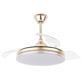 42 in. LED Indoor Gold Modern Retractable Ceiling Fan with Remote and Light, Reversible DC Motor | The Home Depot