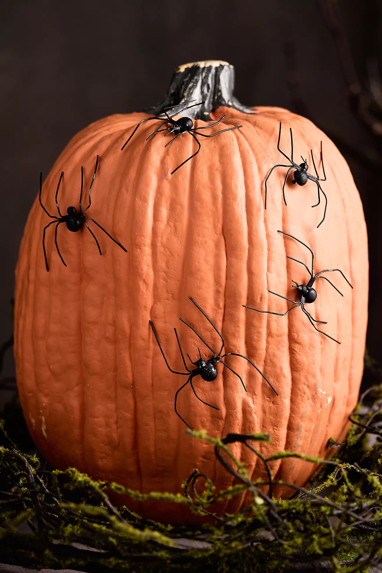 Spooky Spider Pumpkin Stakes, Set of 5 | Anthropologie (US)