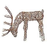 Alpine Corporation Outdoor/Indoor Rattan Grazing Reindeer with Lights - Christmas and Holiday Dec... | Amazon (US)