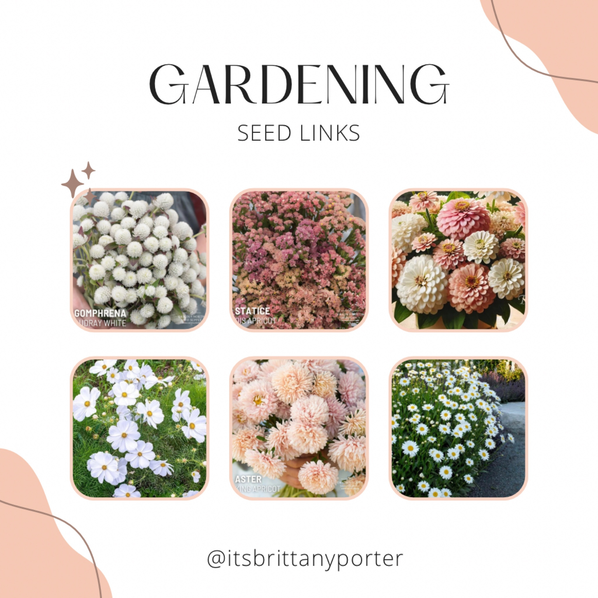 6 flower seeds I’m planting in my garden this spring to cut for bouquets #ltkgarden #cutflowers #flowergarden #spring #gardening

#LTKhome #LTKSeasonal