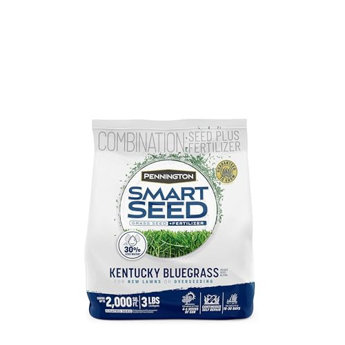 Pennington Smart Seed Kentucky Bluegrass Blend, Grass Seeds for Lawn, 3lb | Amazon (US)