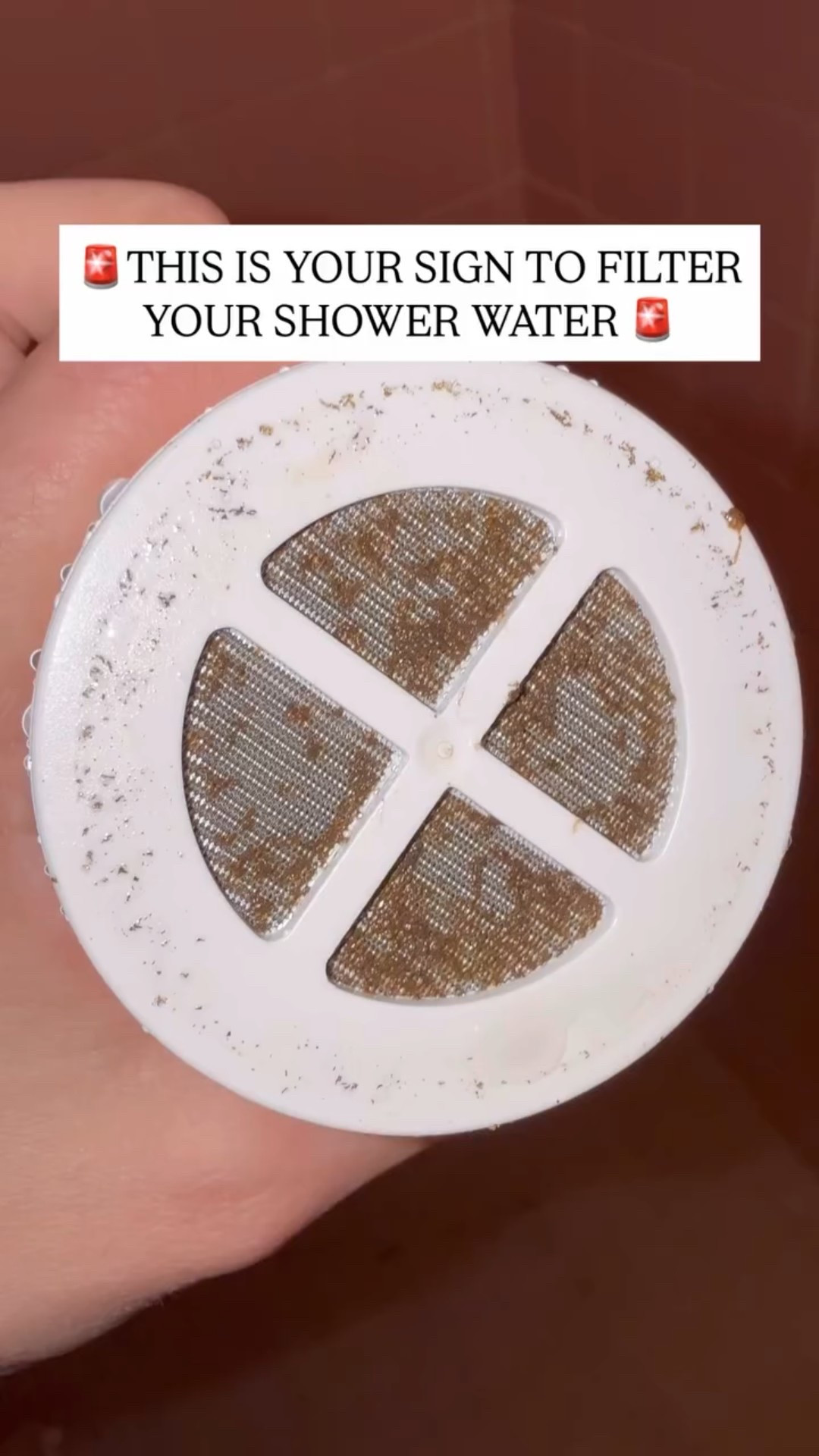 I’ve been testing the @jolieskinco shower filter for over 4 months now, so I feel like that’s a decent amount of time to finally talk to you about my experience with it.

First of all, I LOVE the showerhead itself! It bigger and wider than what I had before, and it has GREAT water pressure. It’s also very chic.

I no longer smell the chlorine whenever I shower, which is amazing. Both me and my husband have a lot less dryness and skin irritation. And I haven’t noticed getting body acne since we installed Jolie, which is fascinating!

I’ve also noticed less flyaways when it comes to my hair. 

I’ve been filtering our drinking water and the bathroom faucet for a long time, and noticed a huge difference (and the dirt the filters capture), so I feel much better than we know also filter our shower water.

Have you tried Jolie or would you? I definitely recommend it and I’ll link it in my story/bio if you’d like to try it as well.

#SkincareRoutine #WellnessTips #healthyhair  #ShowerFilter #ChlorineFree #HardWaterSolution #ClearSkinStartsHere #CleanSkinCare #WorthTheHype #jolieshowerfilter #WellnessCreator #showerupgrade #gifted