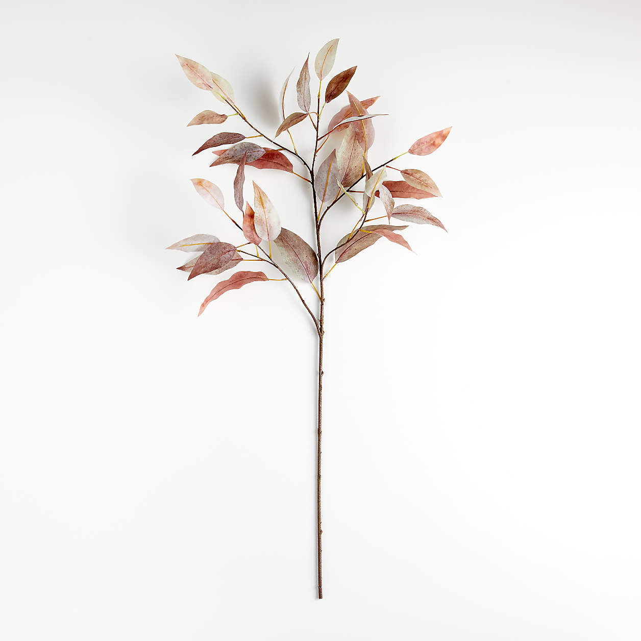 Faux Willow Eucalyptus Stem + Reviews | Crate & Barrel | Crate & Barrel