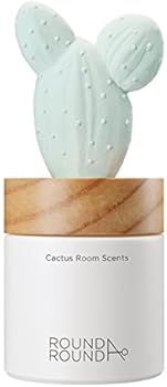 ROUND A’ROUND] Cactus Room Scents 100ml / Gypsum Reed Fragrance Diffuser Fragrant Homes, Rooms,... | Amazon (US)
