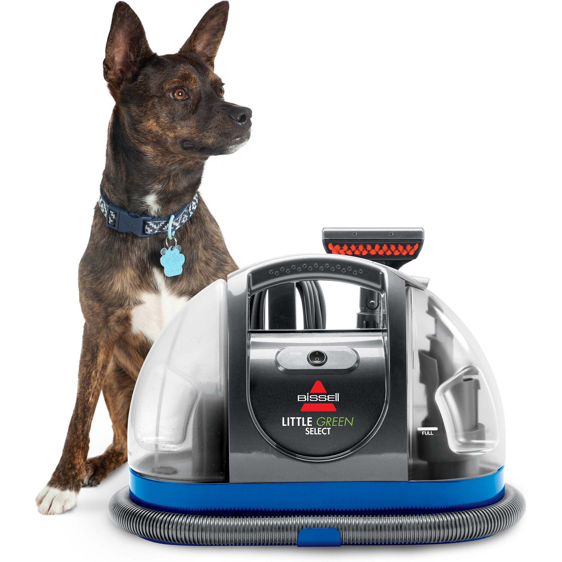 Bissell Little GreenPortable Carpet Cleaner | Chewy