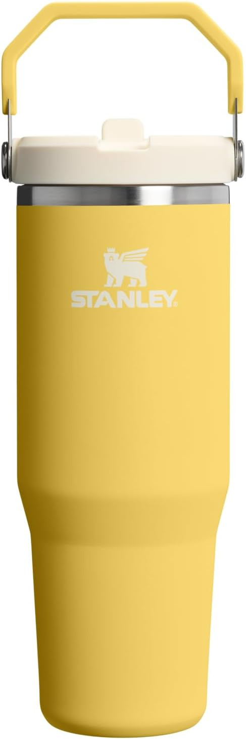 STANLEY IceFlow 2.0 Flip Straw Tumbler with Handle 30 oz | Twist On Lid and Flip Up Straw | Leakp... | Amazon (US)